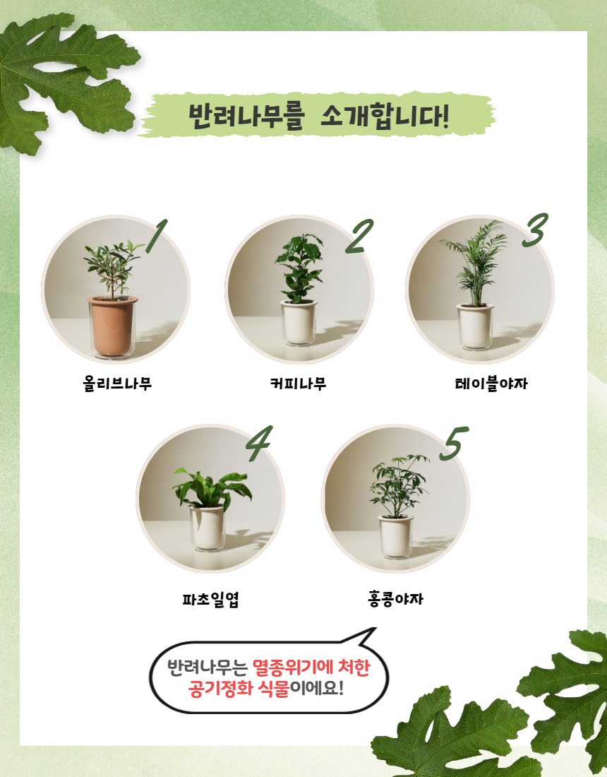 챌린지